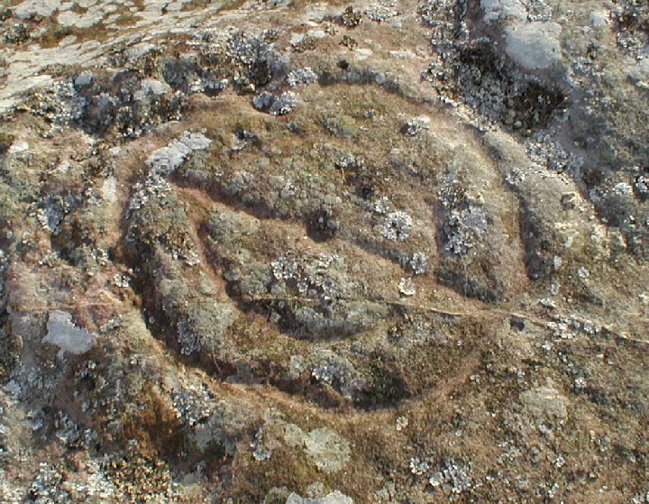 Broomridge (Cup and Ring Marks / Rock Art) by pebblesfromheaven