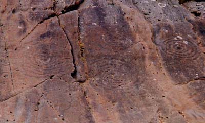Achnabreck (Cup and Ring Marks / Rock Art) by sals