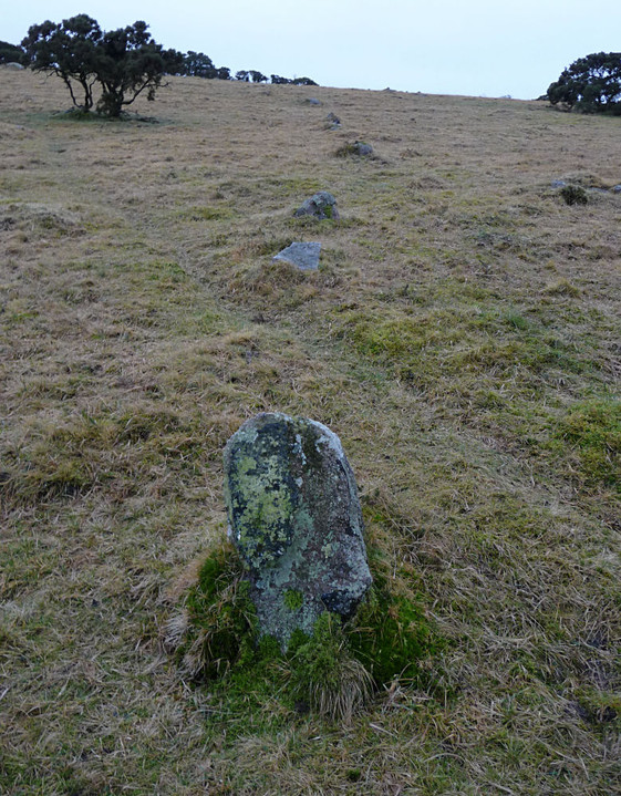 West Saddlesborough Stone Row & Cairn Circle (Stone Row / Alignment) by thesweetcheat