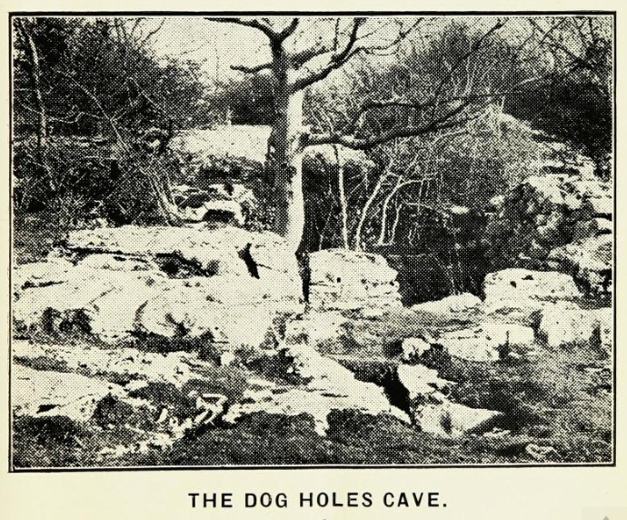 Dog Holes Cave (Cave / Rock Shelter) by Rhiannon