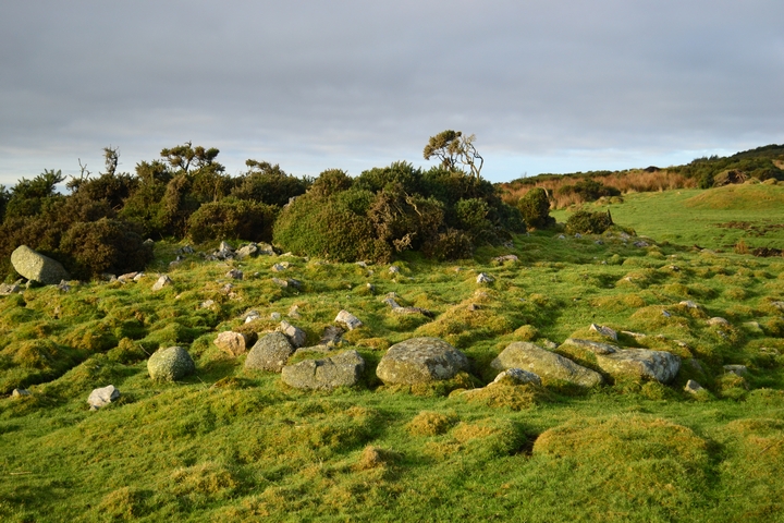 Mormond Farm (Kerbed Cairn) by thelonious
