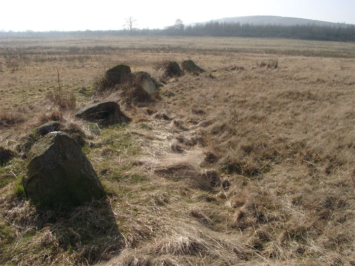 The Hoarstones (Stone Circle) by Reg