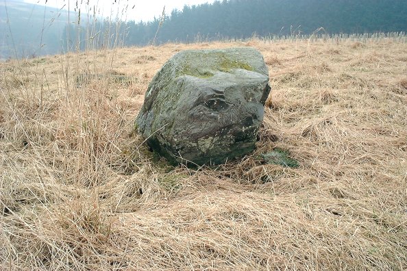 Easter Peathaugh (Stone Circle) by nickbrand