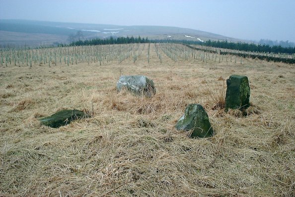 Easter Peathaugh (Stone Circle) by nickbrand