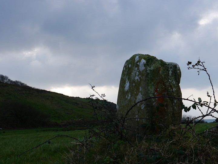 Dromclogh (Standing Stone / Menhir) by Meic