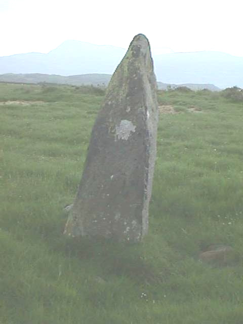 Carreg (Llanfair) (Standing Stone / Menhir) by Howden