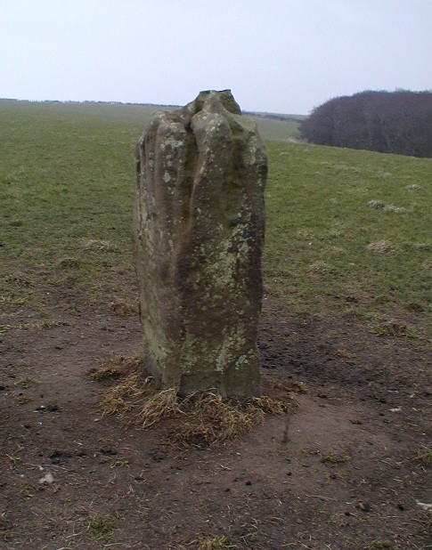 Wade's Stone (North) (Standing Stone / Menhir) by pebblesfromheaven
