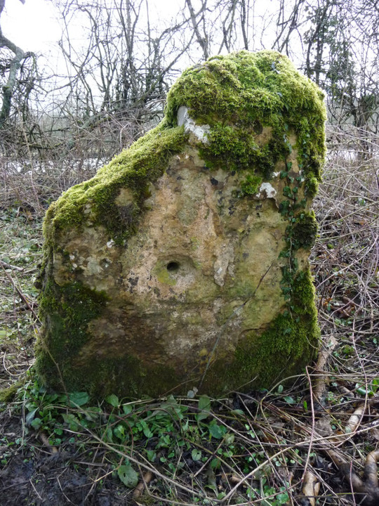 Kiftsgate Stone (Standing Stone / Menhir) by thesweetcheat