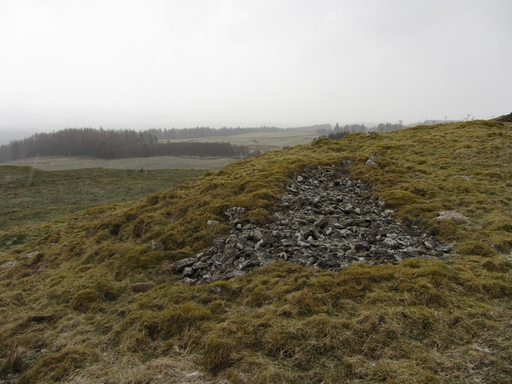 Beattock Hill (Hillfort) by thelonious