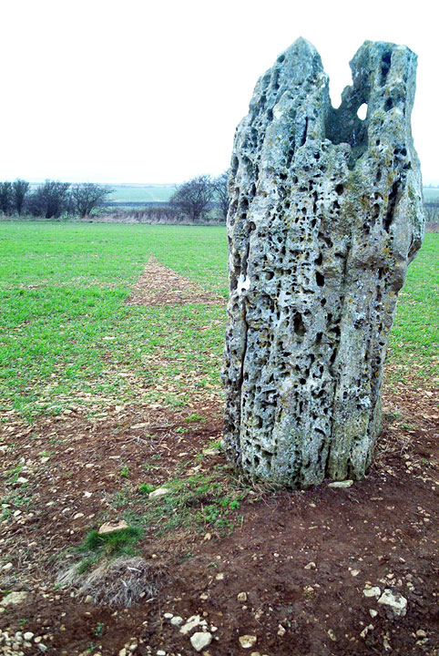 Hawk Stone (Standing Stone / Menhir) by broen