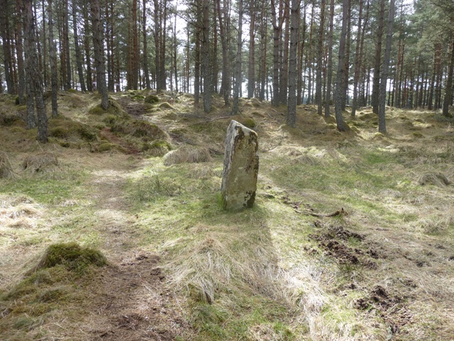 Clach An Airm (Standing Stone / Menhir) by drewbhoy