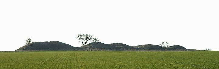 Spellow Hills (Long Barrow) by Chris Collyer