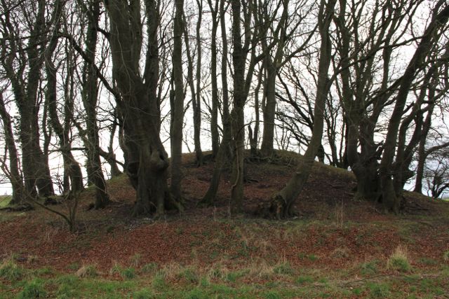 Big Wood (Barrow / Cairn Cemetery) by texlahoma