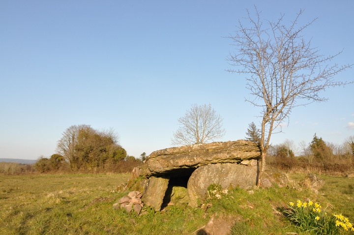 Derrycallan (Wedge Tomb) by bogman