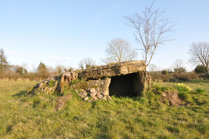 Derrycallan (Wedge Tomb) by bogman