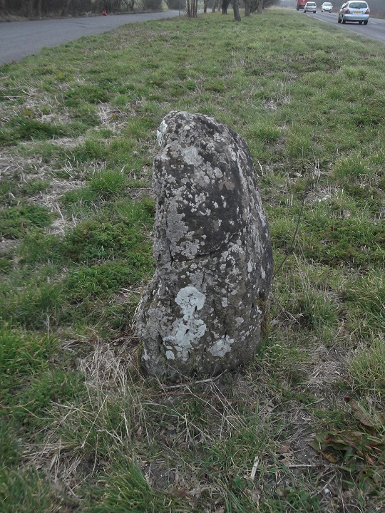Stockton Stone (Standing Stone / Menhir) by ruskus