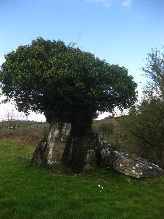 Fenagh Beg (Portal Tomb) by ryaner
