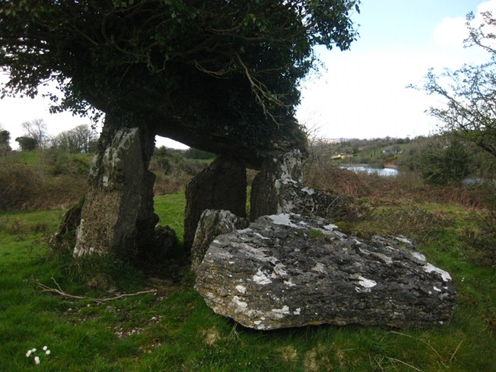 Fenagh Beg (Portal Tomb) by ryaner