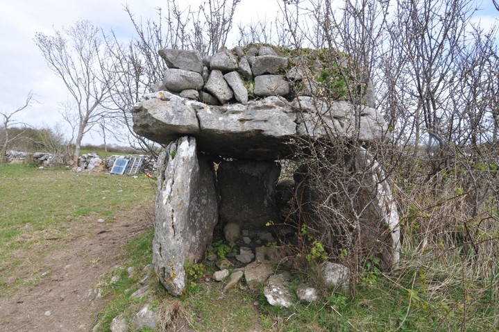 Doorus (Wedge Tomb) by bogman