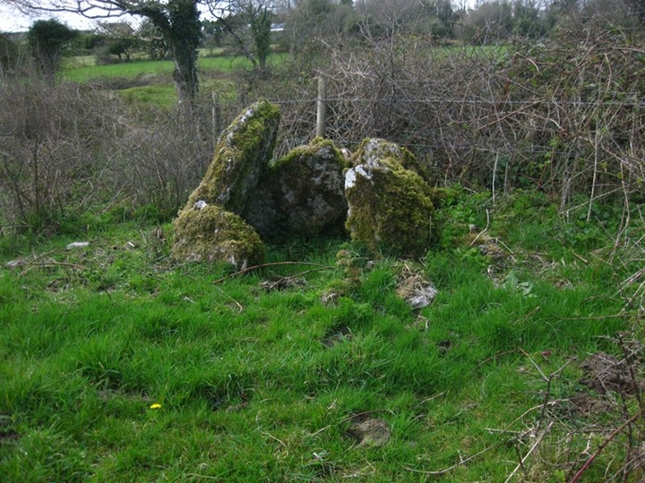 Fenagh Beg 2 (Passage Grave) by ryaner