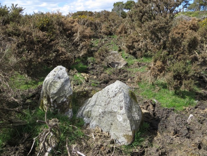 Auchlee (Stone Circle) by LesHamilton