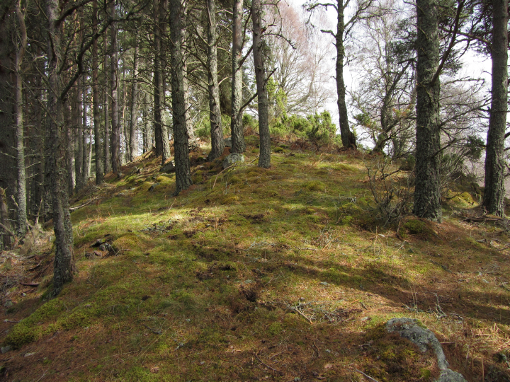 Tor Beag (Hillfort) by thelonious
