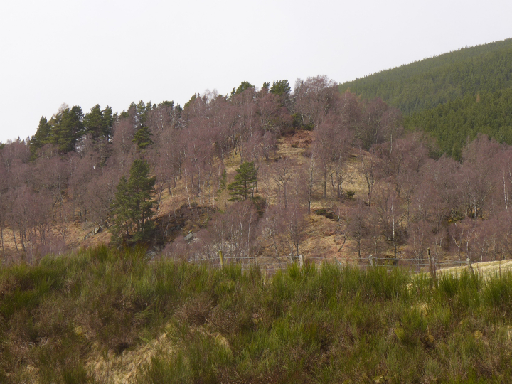 Tor Beag (Hillfort) by thelonious