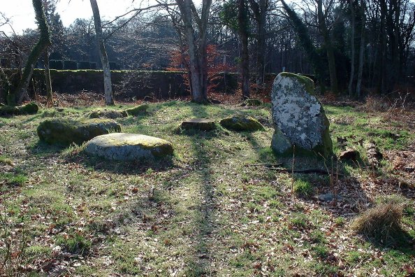 Dalginross (Stone Circle) by nickbrand