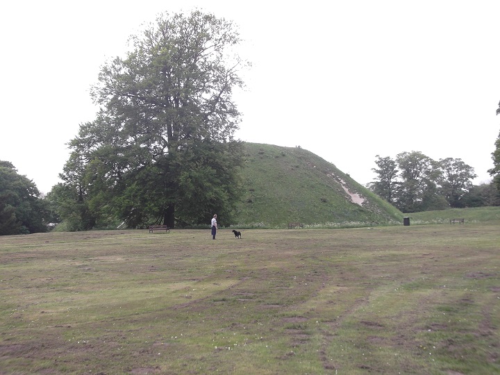 Thetford Castle (Hillfort) by ruskus