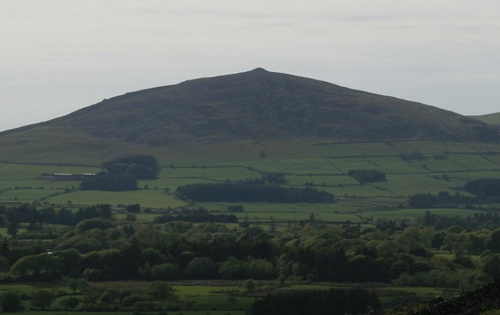 Mynydd Carnguwch (Round Barrow(s)) by postman