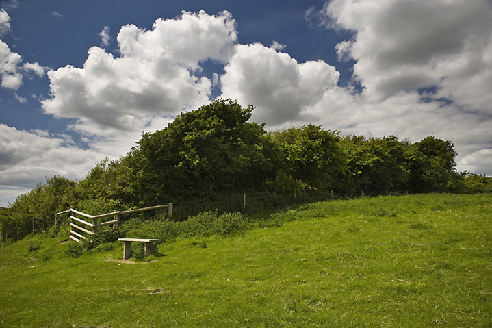 Chillerton Down (Hillfort) by A R Cane