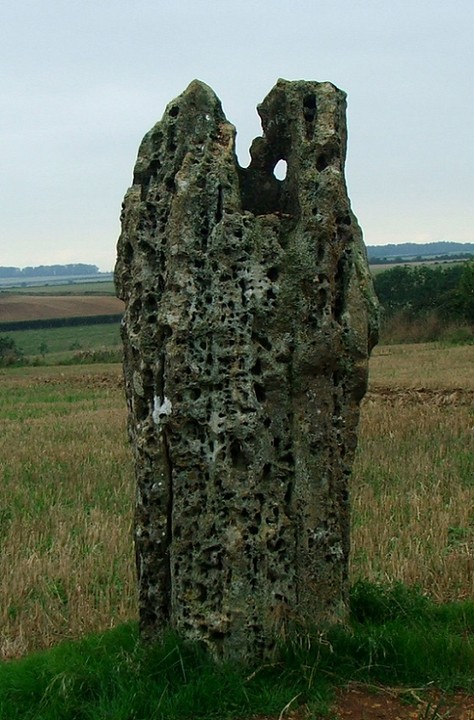 Hawk Stone (Standing Stone / Menhir) by postman