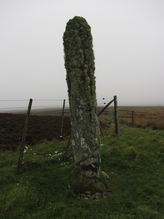 Upper Borgue (Standing Stone / Menhir) by thelonious