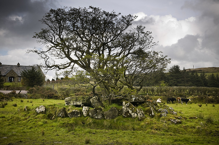 Loughmacrory III (Wedge Tomb) by A R Cane