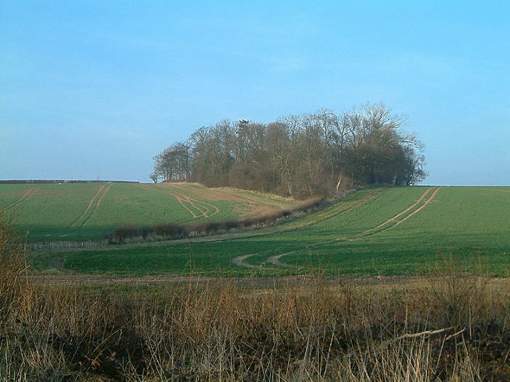 Camp Hill (Kirklington) (Hillfort) by stubob