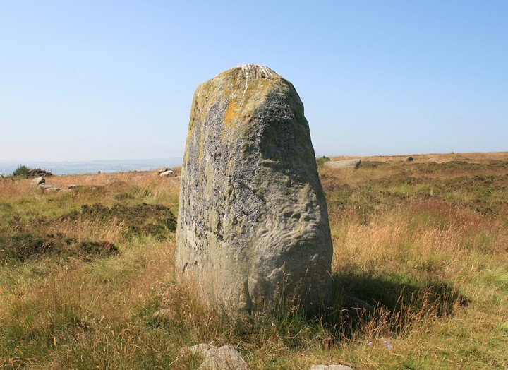 Braes of Fowlis (Stone Circle) by postman