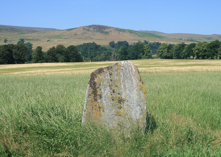 Witches Stone (Monzie) (Standing Stone / Menhir) by postman