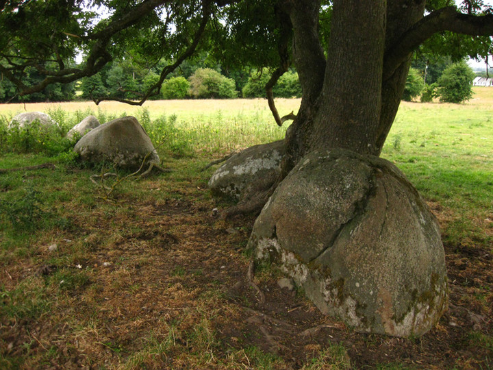 Broadleas (Stone Circle) by ryaner