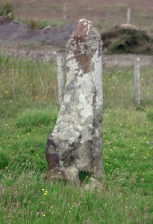 Southside Stone (Standing Stone / Menhir) by Ubik