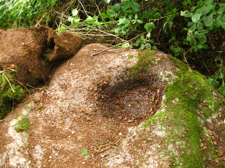 Ballyknockan (Bullaun Stone) by ryaner