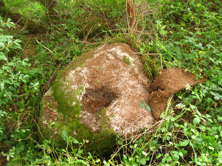 Ballyknockan (Bullaun Stone) by ryaner