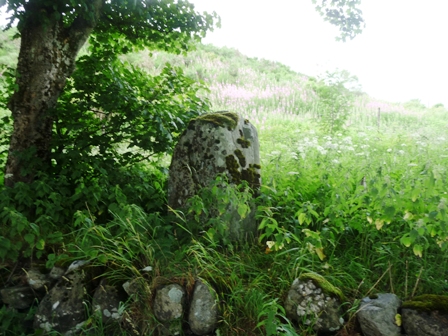 Croft House Stone (Standing Stone / Menhir) by drewbhoy