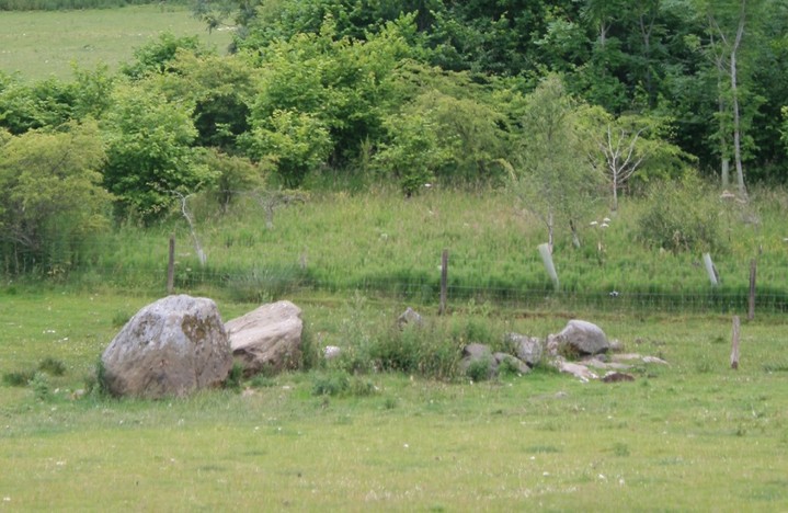 Lundin Farm (Stone Circle) by postman
