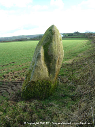Coynant Maenhir (Standing Stone / Menhir) by Kammer