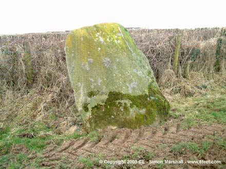 Coynant Maenhir (Standing Stone / Menhir) by Kammer