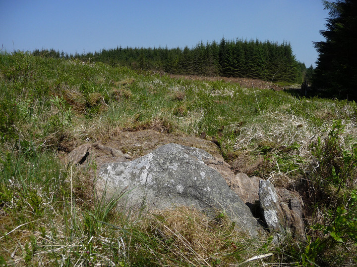 Carn-y-Wiwer (Glyncorrwg) (Round Cairn) by thesweetcheat