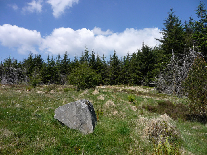 Pebyll (Ring Cairn) by thesweetcheat