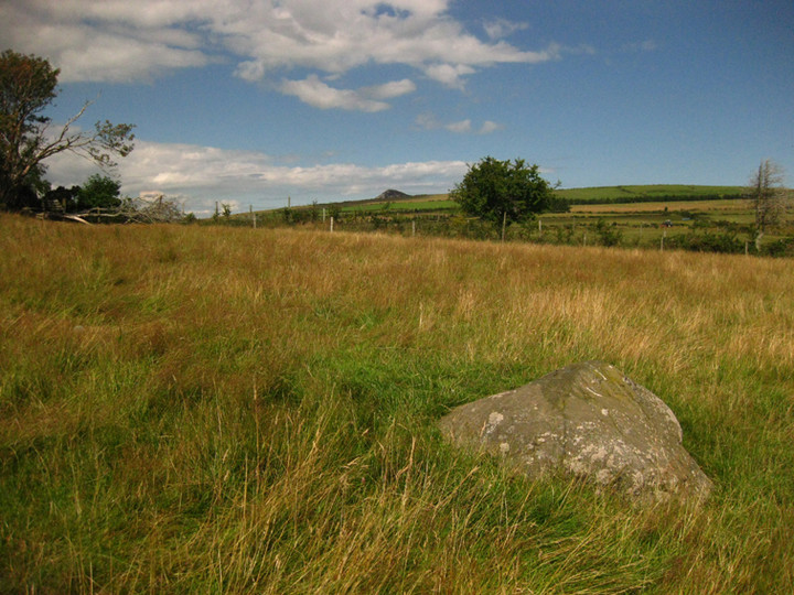 Downshill (Cup Marked Stone) by ryaner