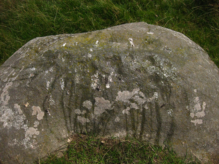Downshill (Cup Marked Stone) by ryaner