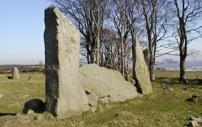 Tyrebagger (Stone Circle) by pebblesfromheaven